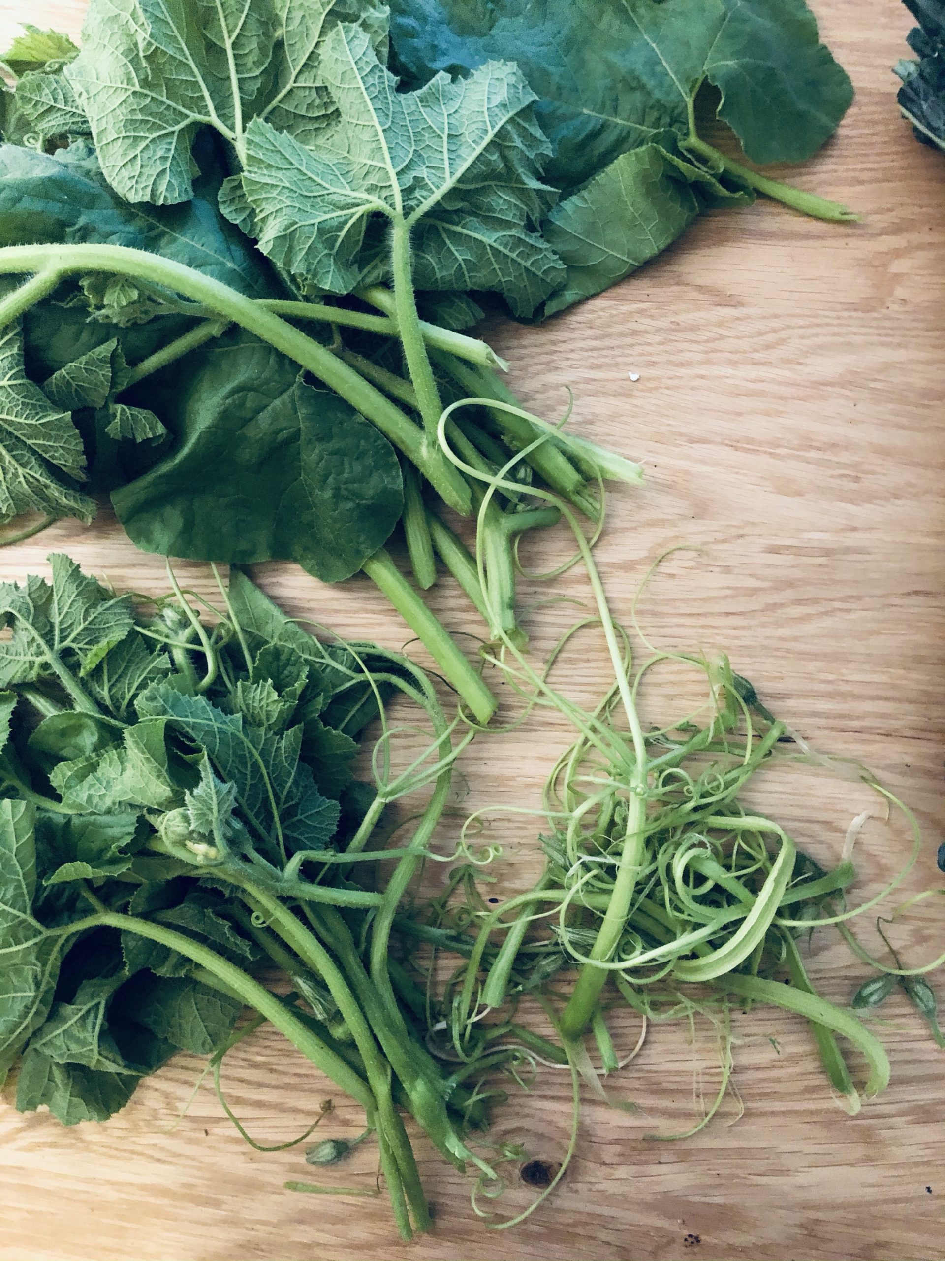 Pumpkin Tip or Microgreen Coconut Curry Grow In Grace Gardens